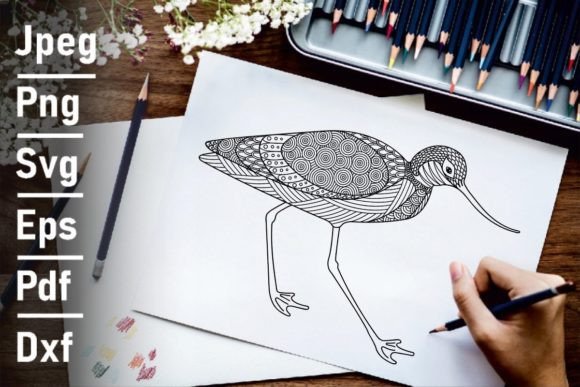 Zentangle Vector Avocet Graphics for Print Templates